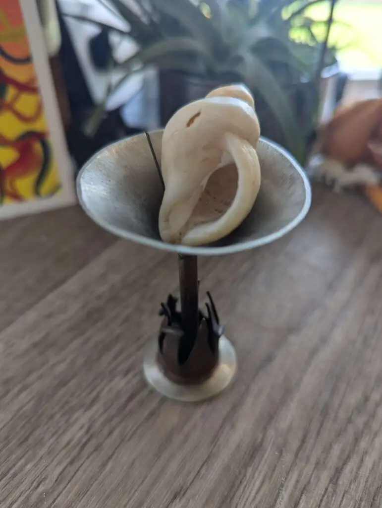 The final project had to hold something of sentimental value to us. I chose to make a martini glass to hold a seashell I found on a trip to the ocean with my grandparents.