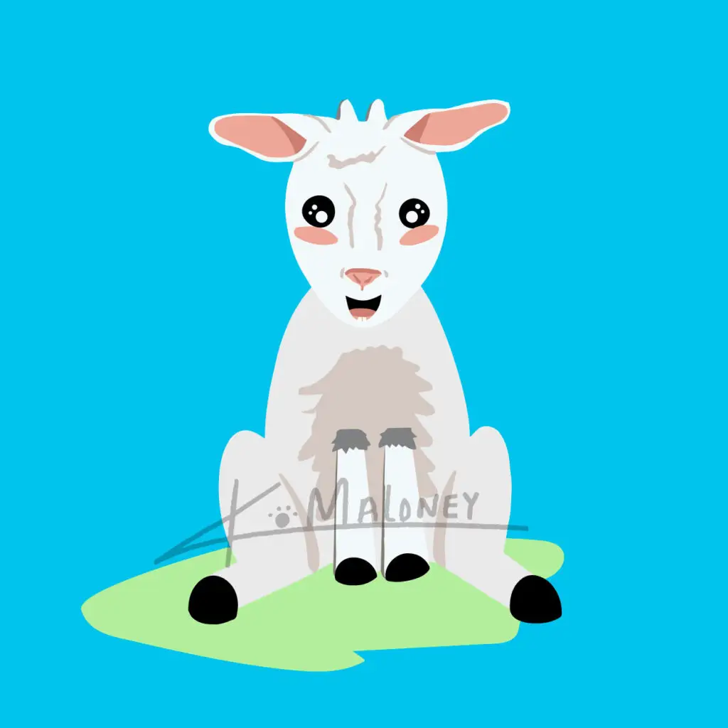 Cartoon white goat sitting on a patch of grass, with K.maloney watermark