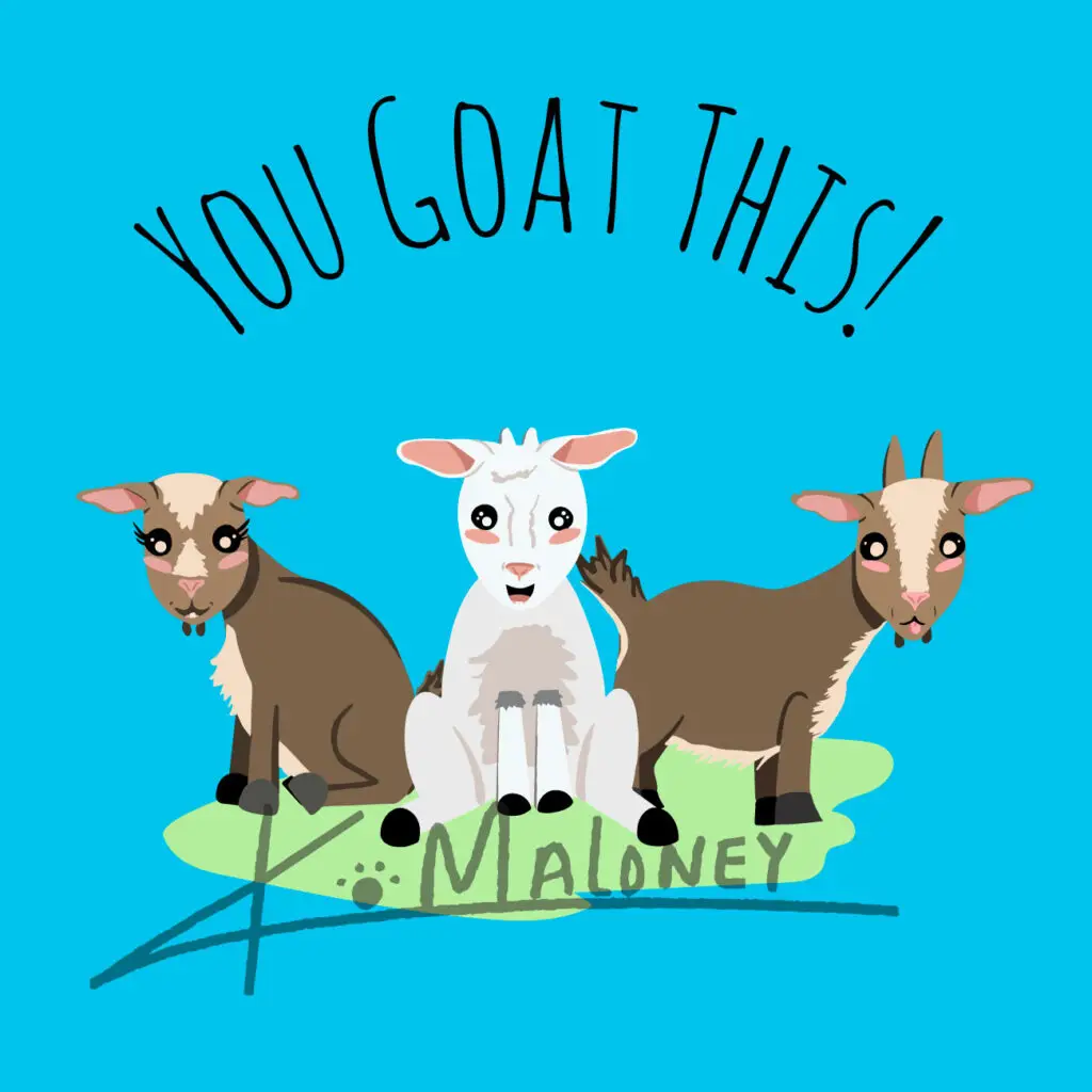 Cartoon goats together with Text over head saying You Goat This. K.Maloney watermark