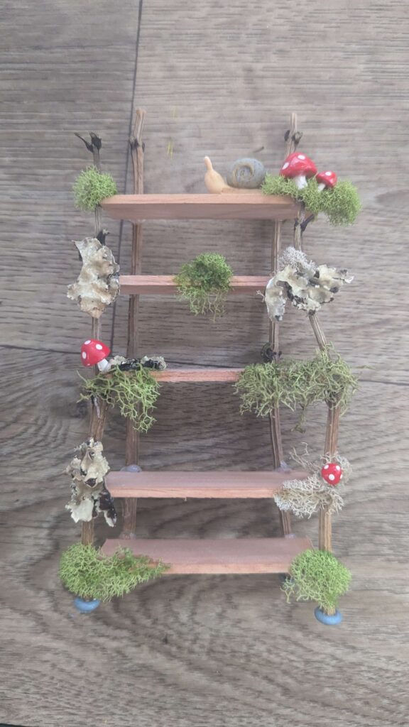 A miniature bookshelf made out of branches and a paint stirrer. It has moss, and little red mushrooms. On the top shelf there is a small clay snail