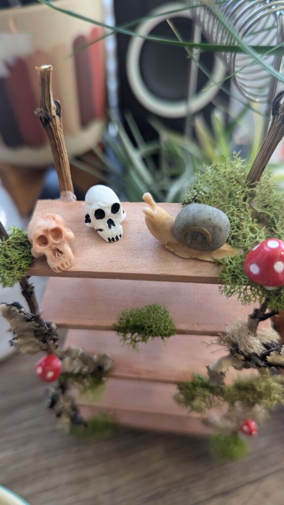 A miniature bookshelf made out of branches and a paint stirrer. It has moss, and little red mushrooms. On the top shelf there is a small clay snail and two miniature skulls, one out of white clay and the other beige.