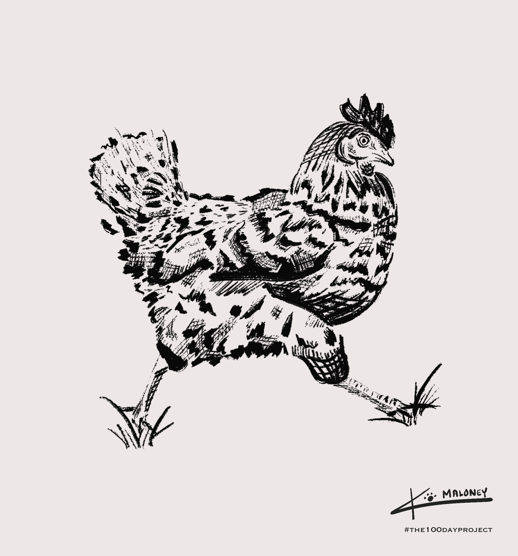 Curious & Clever Collection Pattern 10