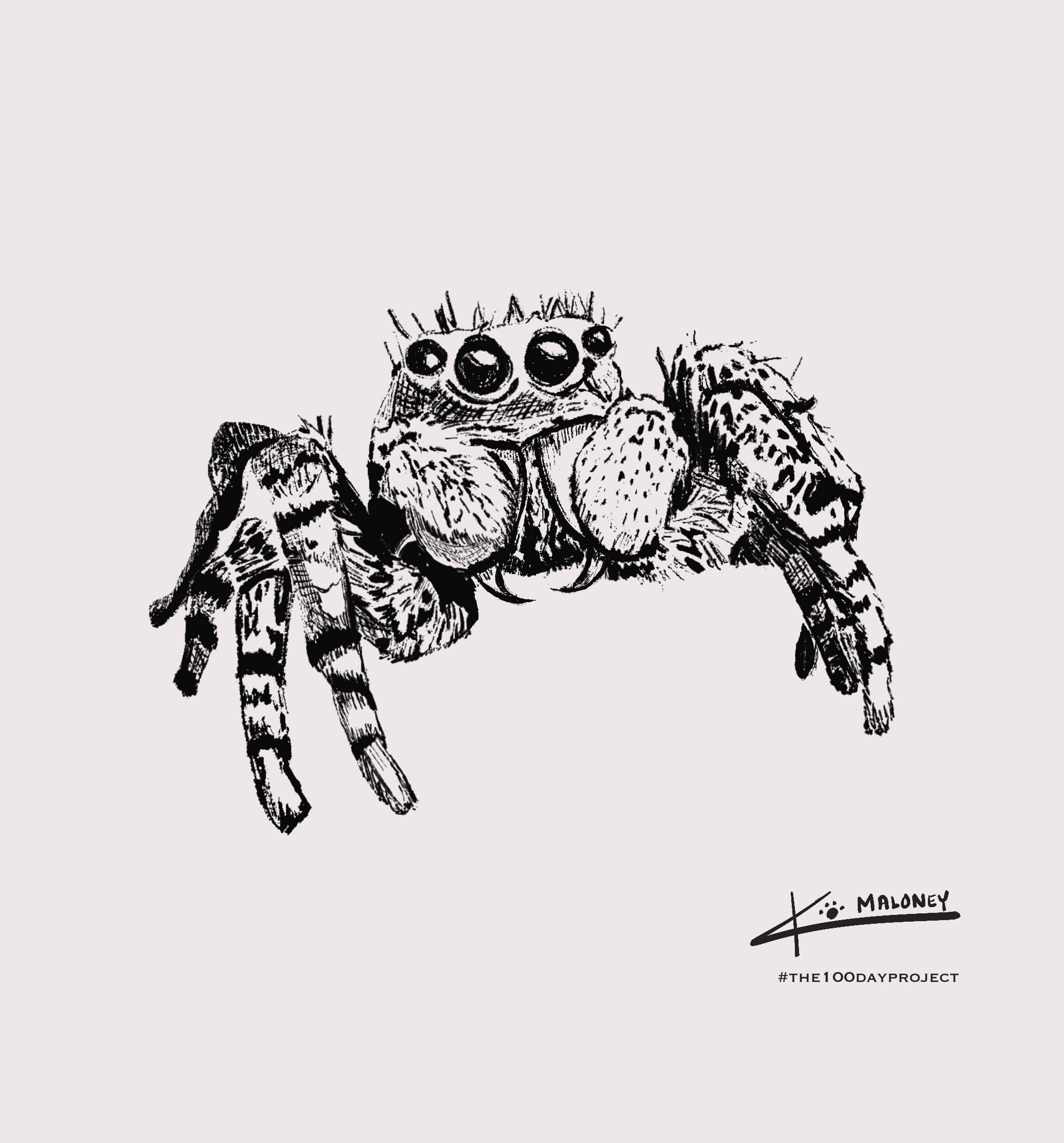 Curious & Clever Collection Pattern 8