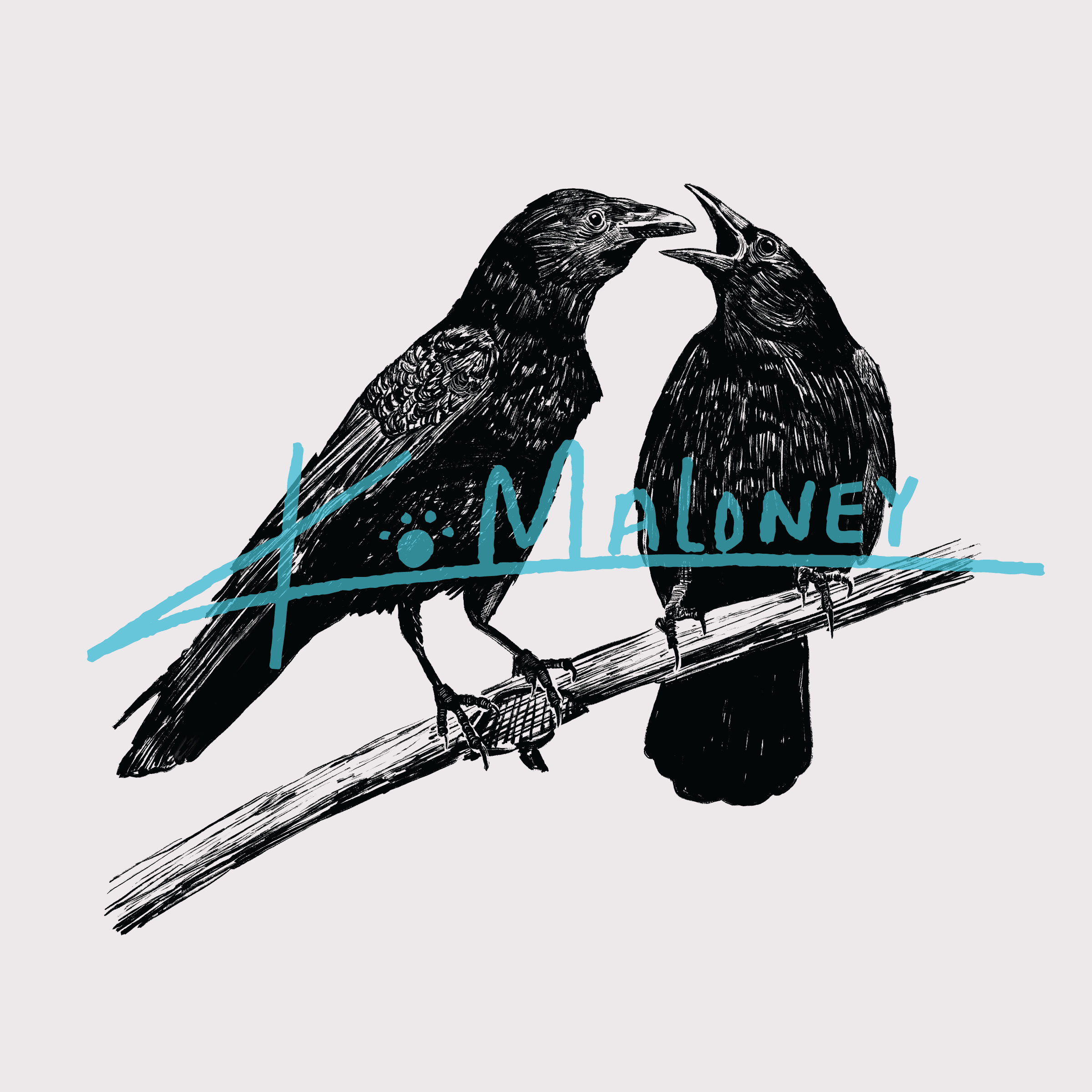 Curious & Clever Collection Pattern 7