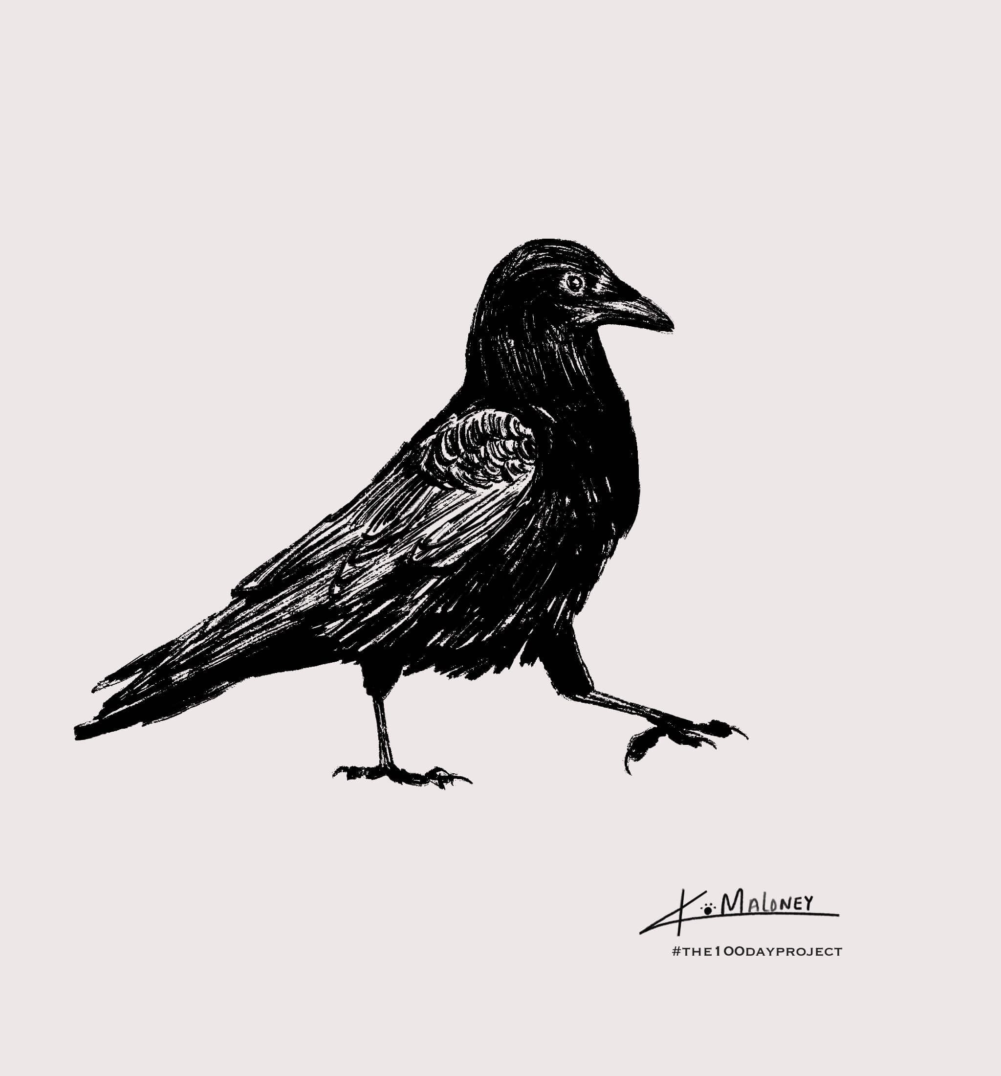 Curious & Clever Collec tion Pattern 1