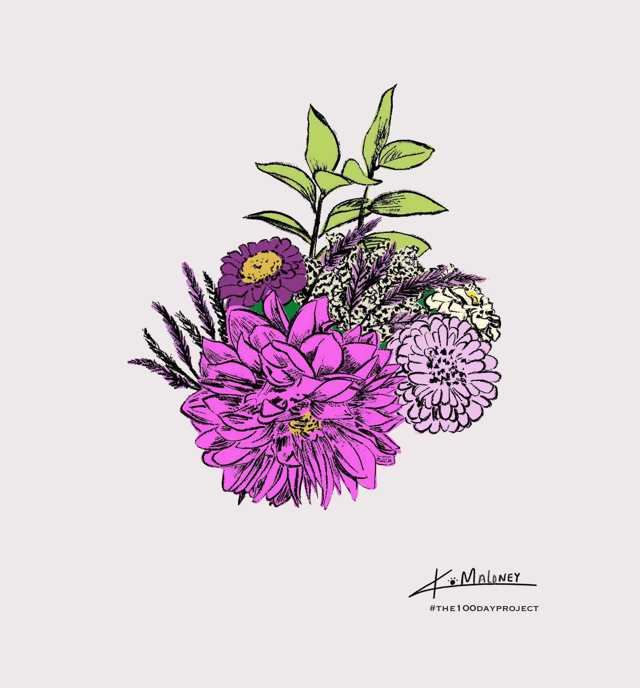 Curious & Clever Collection Pattern 5