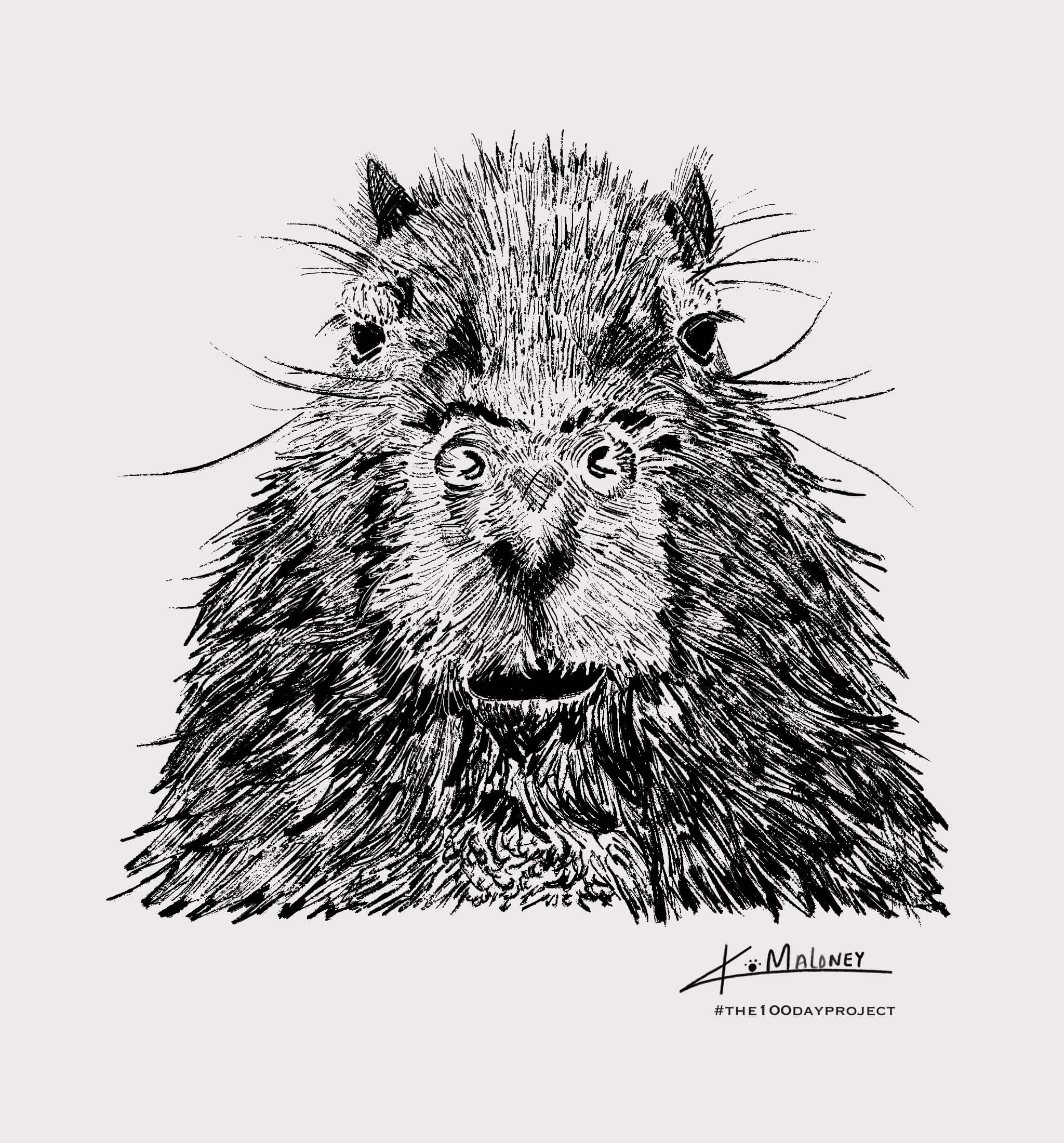 Curious & Clever Collection Pattern 3