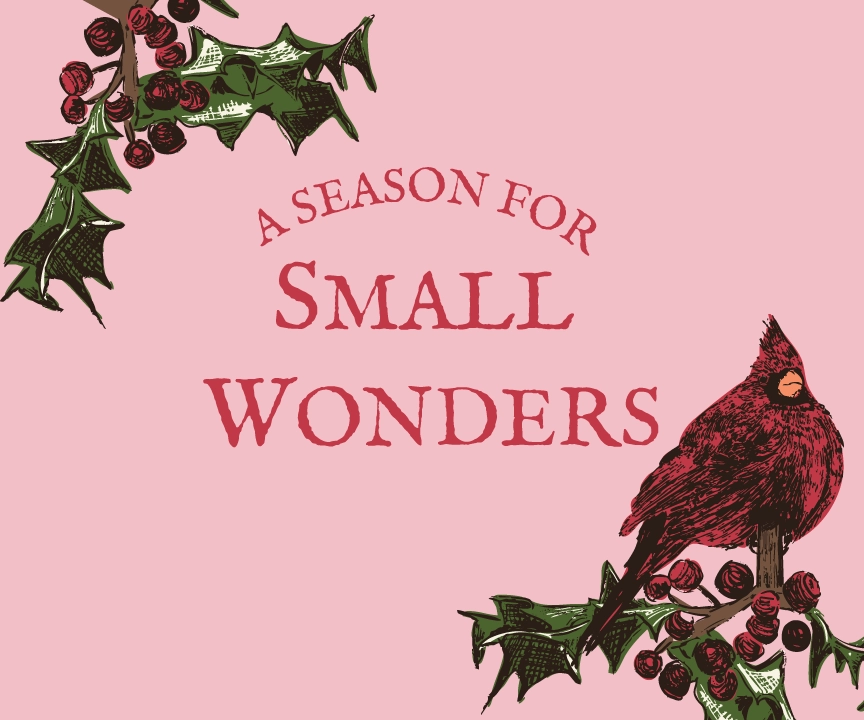 Small-Wonders-PL-01